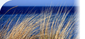 Ferienhaus Lenz im nordseebad Dangast